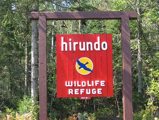 Canoe Outtings at the Hirundo Wildlife Refuge